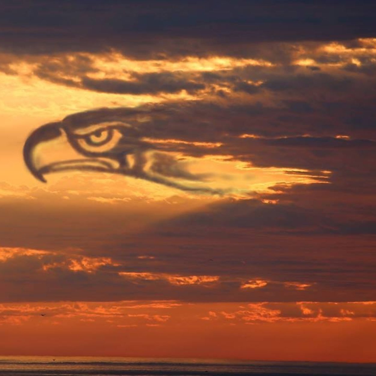 Go Beav's!!! Go Hawks!!!