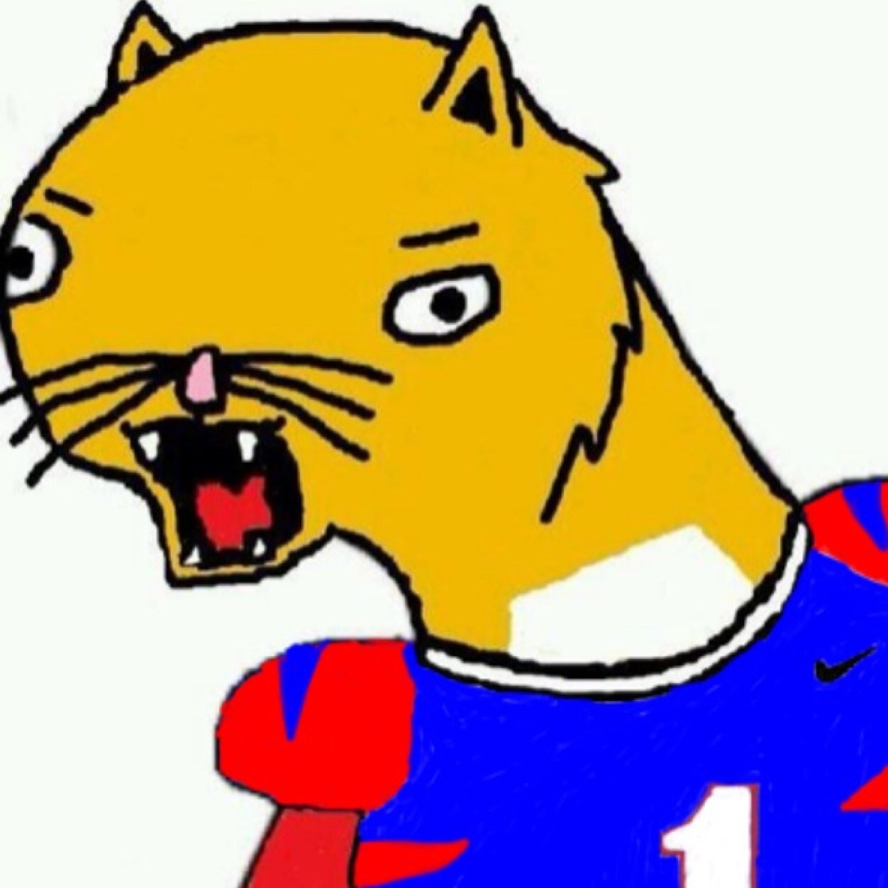 BubcatPride's profile picture. Bubcat pryd wll nvrr dyie *This account is not affiliated with Edinburg High School nor the ECISD* *This is a parody account* BUBCAT PRIED