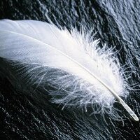 SilverChrono (@silverchrono) 's Twitter Profile