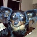 SHARI  BOWEN - @DONNY2WIN - Twitter