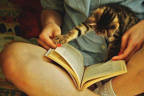 I don't just read books, I become a character in them.