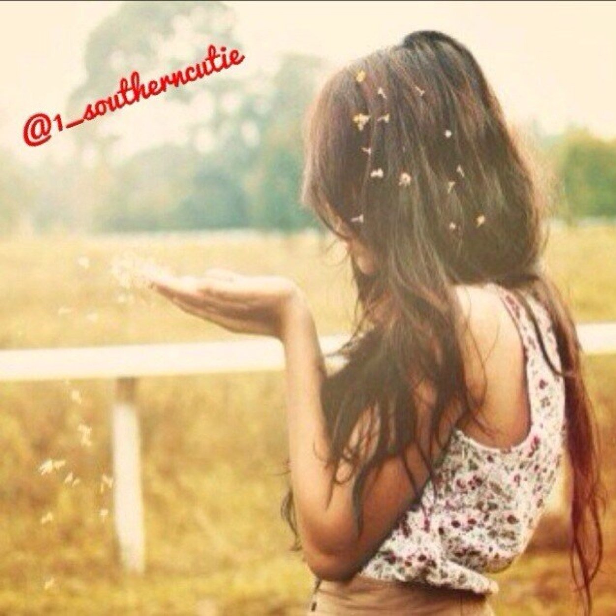 1_southerncutie's profile picture. just a New England girl who should have been born in the south. follow me :)