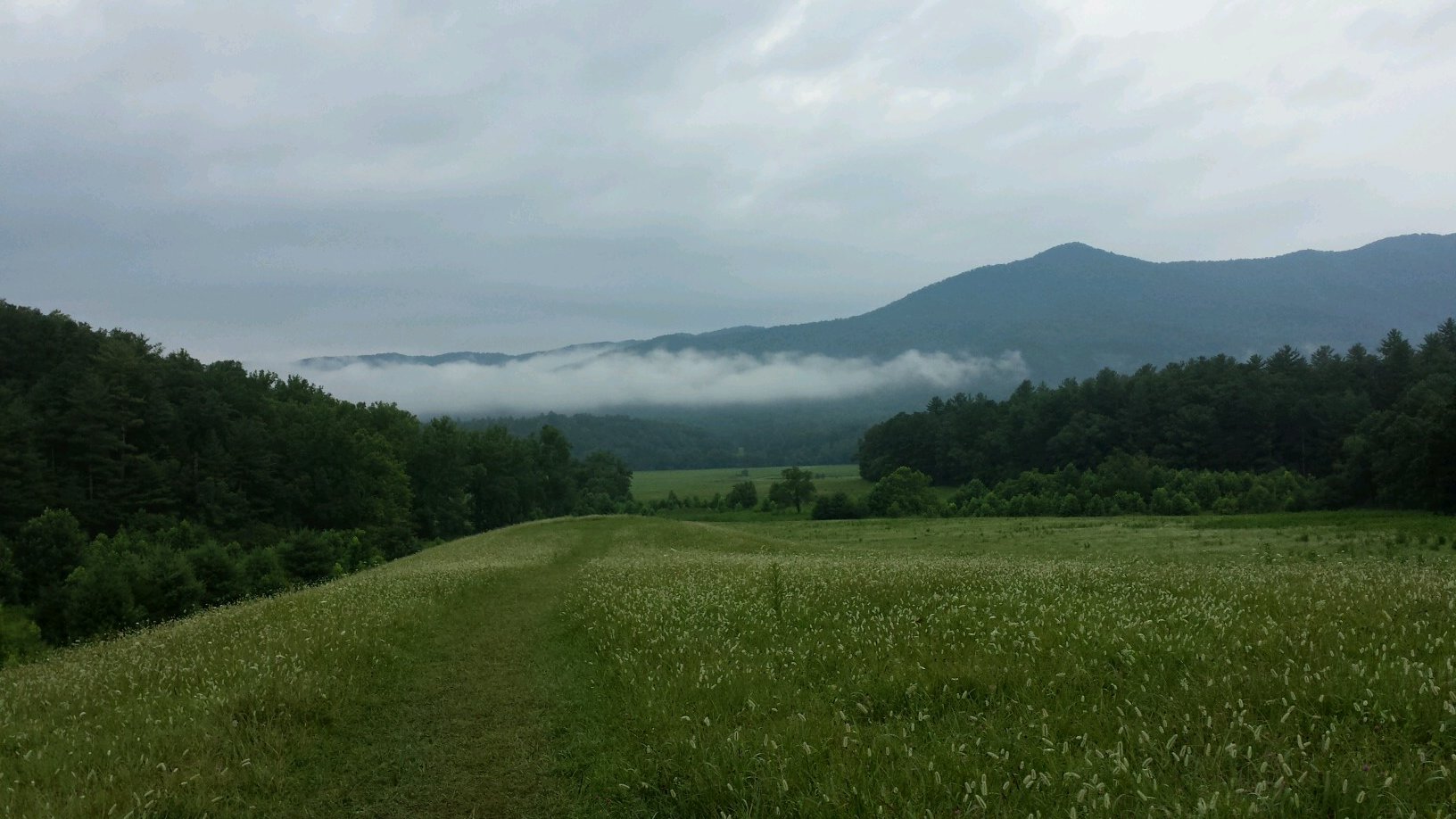 jakejumpman's profile picture. 