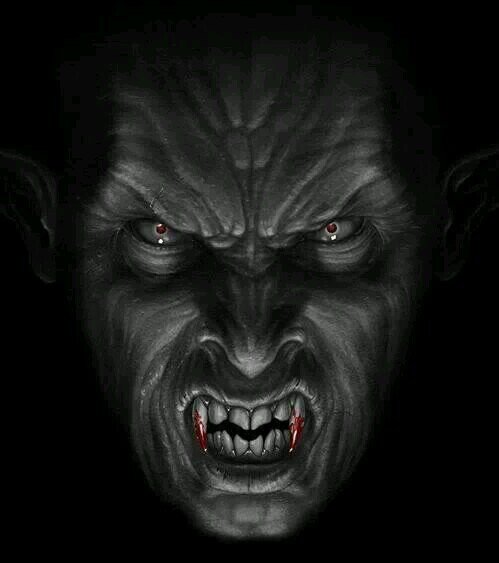 warchild530's profile picture. 