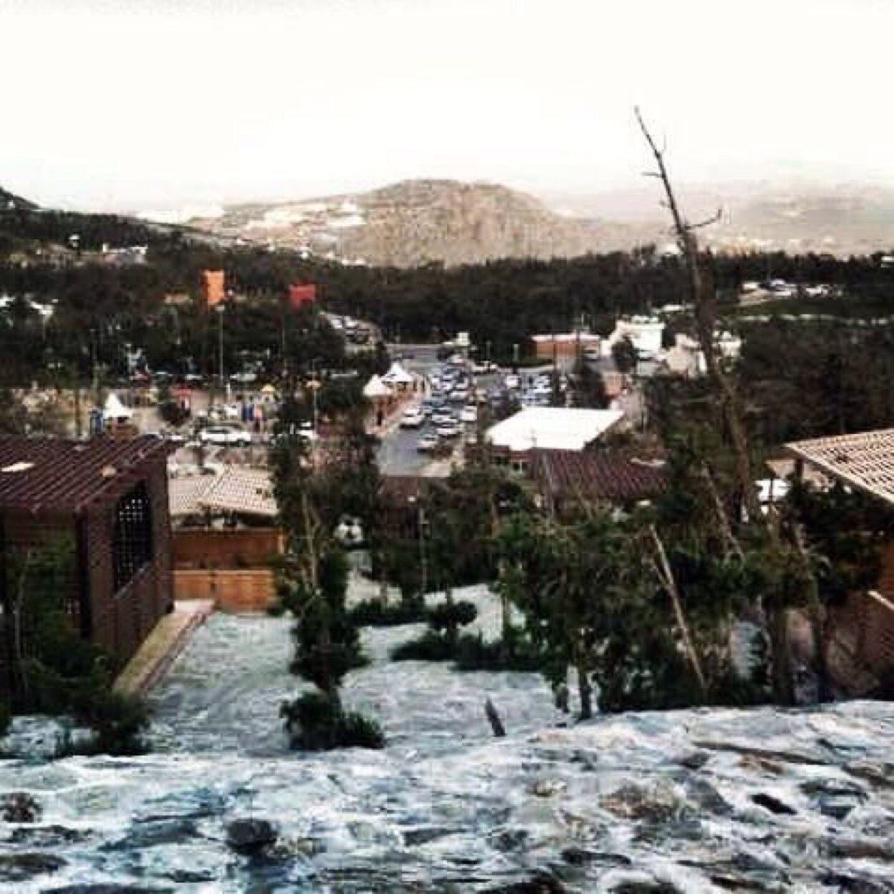 ufhsufhs's profile picture. The Earth