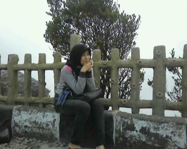 berusaha mjd ....