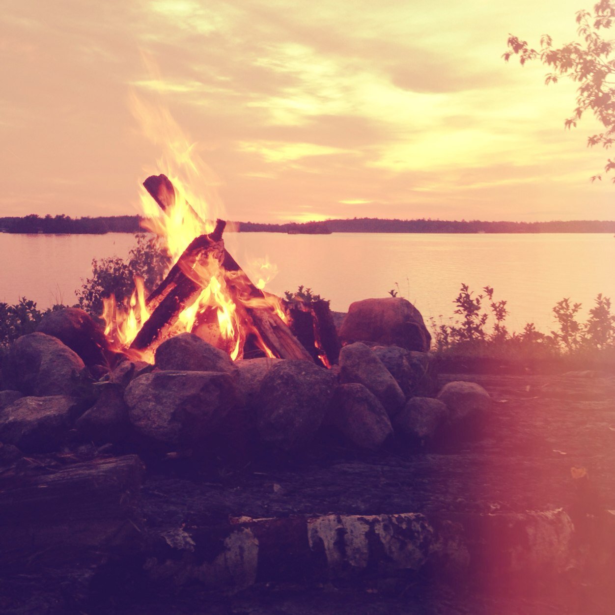 PollockLiam's profile picture. 