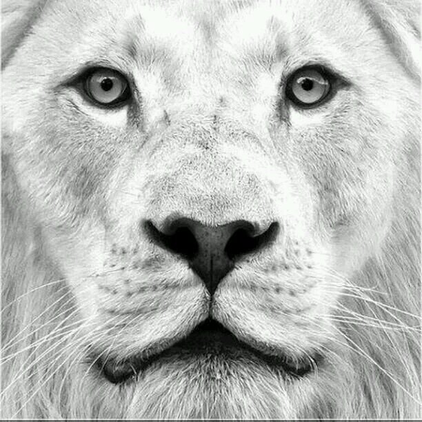 awakening_mind0's profile picture. 