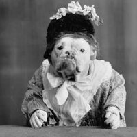 DangerMeredith 💉💉 (@futhoughts) 's Twitter Profile