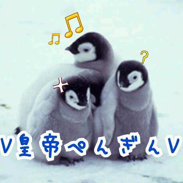 V皇帝ぺんぎんV@マビノギ英雄伝さんのプロフィール画像