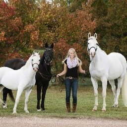 Horses. Veterinarian. Farmlife