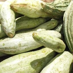 Rishi4392's profile picture. 