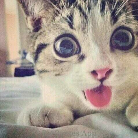 : was born on 25/05/1997 #proud being a gemini babe. ♡
