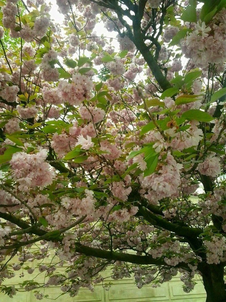 MarkovaValeria's profile picture. 