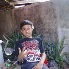 rafligurnaldi's profile picture. 