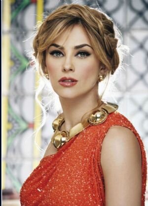 te quiero aracely no desde siempre pero si para siempre