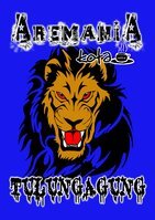 menjadi seorang aremania adalah sebuah kebanggaan bagi saya. from mukomuko for arema.