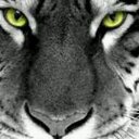 Edward Mikhail - @EdwardMikhail1 - Twitter