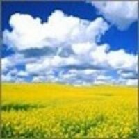 Rick Shaw (@shawscorner) 's Twitter Profile Photo