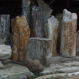 woodfossil's profile picture. We are one of the leading manufacture and exporter of Petrified Wood in Indonesia since 1995. Please feel free to contact us for any further inquiries.