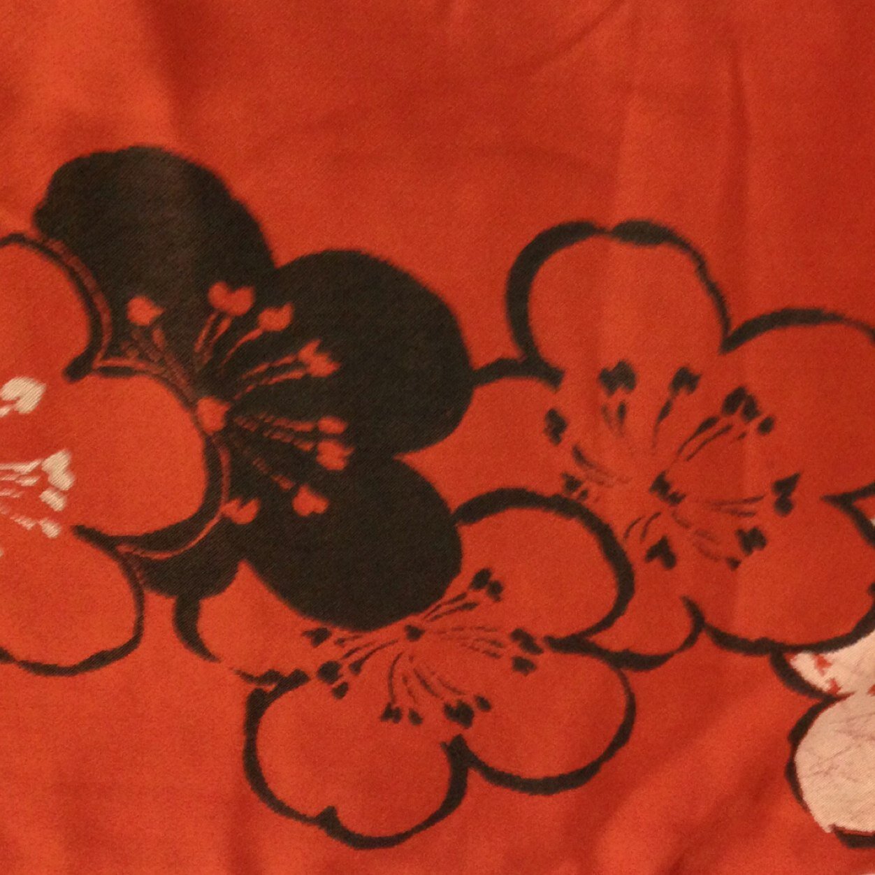 九州大学着物同好会(非公認サークル)のアカウントです。ゆるく活動しています。きものに興味のある方は是非！！ 「装人」もよろしくお願いします。