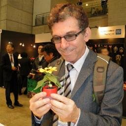 drirfanstevia's profile picture. 