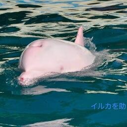 Gloriaa126's profile picture. 