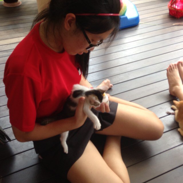 candicenst's profile picture. It is not how much we do, but how much love we put in the doing. It is not how much we give, but how much love we put in the giving.