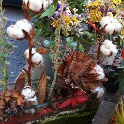 mudoblue's profile picture. feelosophy: Is not that life itself is an inspiration!