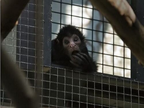 cannitin's profile picture. Şaşkın kişi