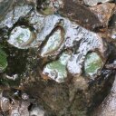 Margaret MacDonald - @MargaretMacDon5 - Twitter