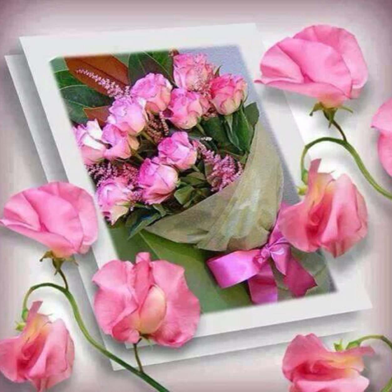 momohh5555's profile picture. 