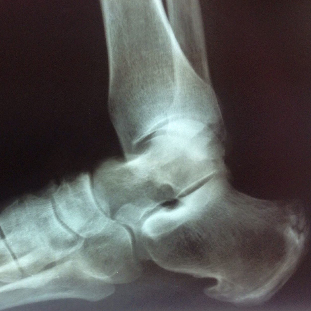 innovapodal's profile picture. 