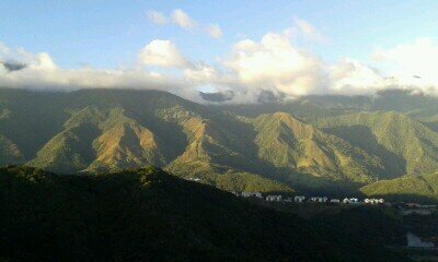 ATAMARIA52's profile picture. 