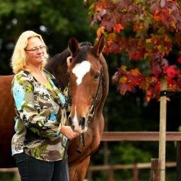 ♡ Henk Smalbraak, HSHorses, Boxers vd Guldenweg, Fokkerij, KWPN, Welshpony, Welsh Cob, Boxers, Schrijven, BBB, Winterswijk, Crohn, Stoma