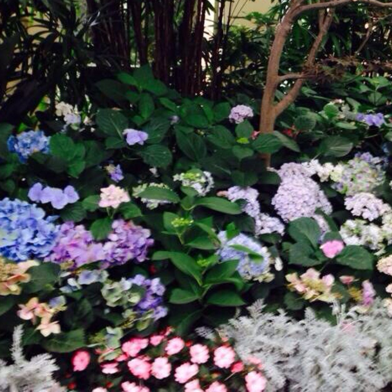 dumbanonymous's profile picture. its all cool