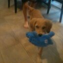 Christine Maynard - @Christine5103 - Twitter