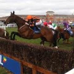 Horse racing bets, only doubles, starting 20/01/2014. Bet all possible doubles, level stake.