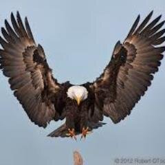 PervaizBernard's profile picture. Present Manila Philippines, Origin Pakistan