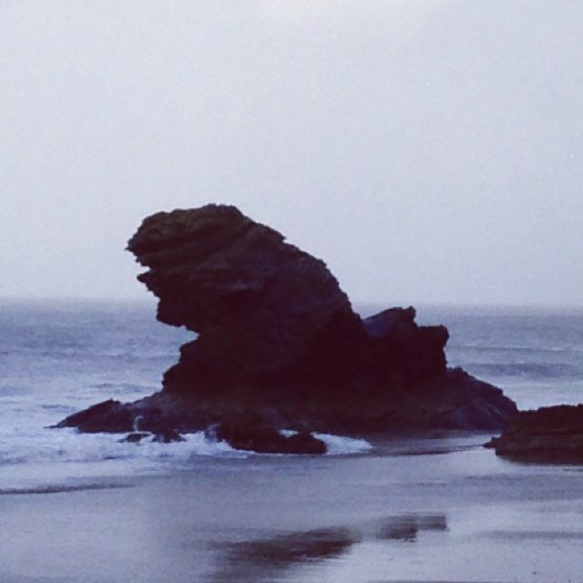 carregbica1's profile picture. 