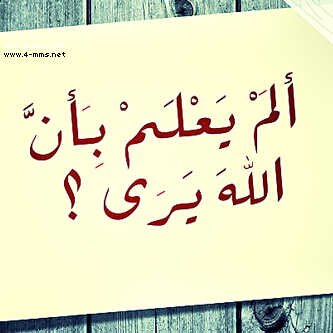 ‏﷽ ‏﴿ وإذا سألك عبادي عني فإني ‏قريب أجيب دعوة الداع إذا دعان ﴾ ‏اللہم لا تحرمنا من امنيةٍ تُفرح قلوبنا ‏⁧#اذكار⁩