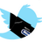 SportingRugby's profile image