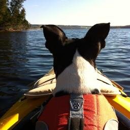 Kasia12's profile picture. 