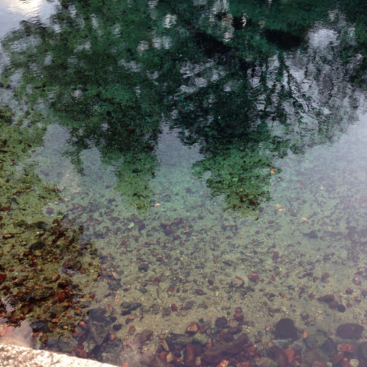 NoR1iii's profile picture. 