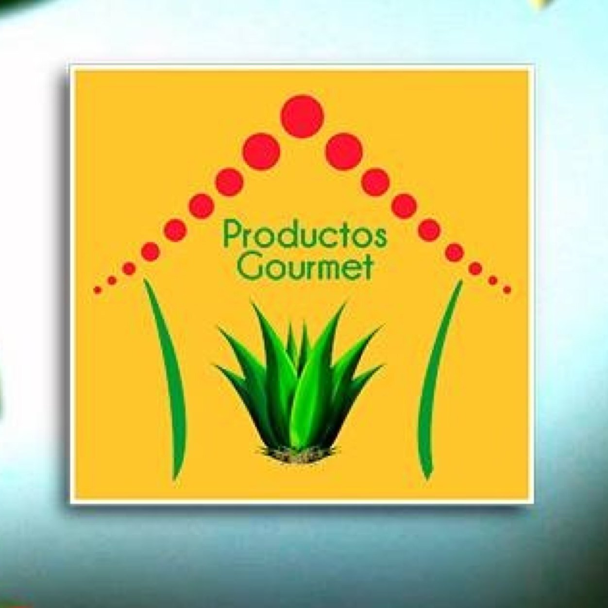 Productos 100% naturales y Gourmet. Mermeladas, aderezos, miel de maguey.