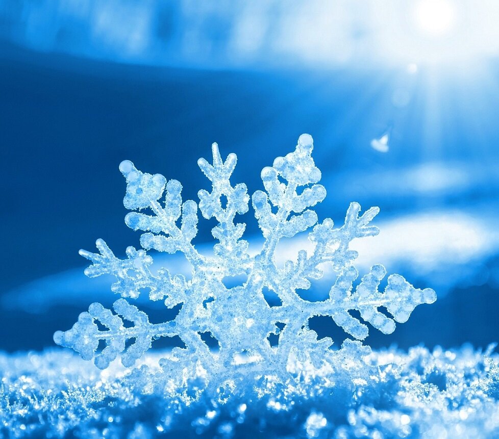 Happy (especially in the snow)