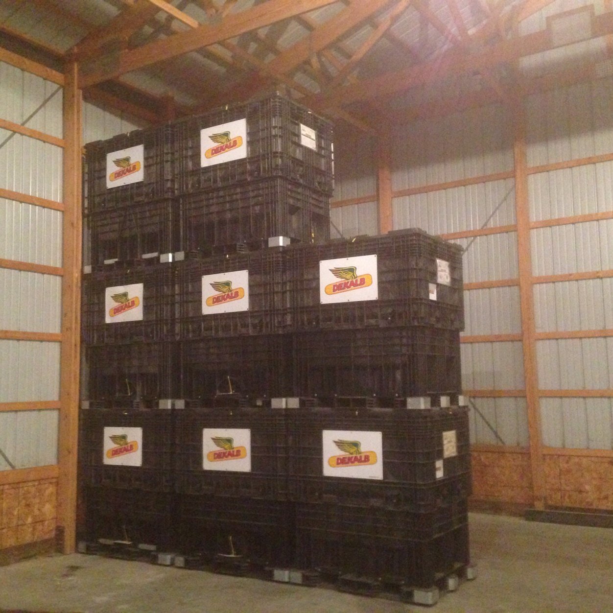 Soybeanboy96's profile picture. Husband and Dad of 3 wonderful kids.  I’m a farmer that’s passionate about agriculture and advocating for the industry.  I love to listen and learn.