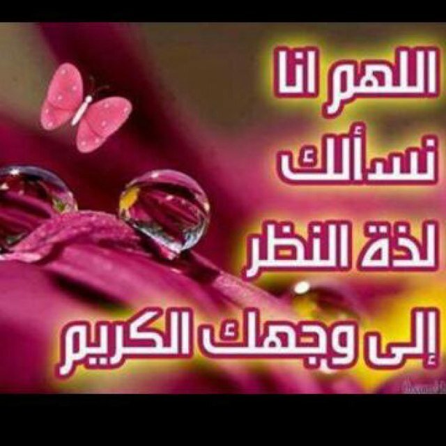 galati16's profile picture. 