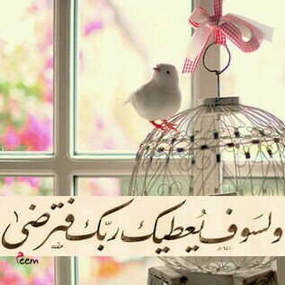 عابرون والدنيا ليست لنا سنمضي يوما تاركين كل شيء خلفنا .فأحسنوا  اختيار  امتعتكم  كي يسهل عبوركم.