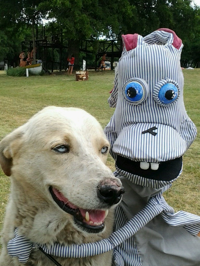 TicoConejo's profile picture. Nos vemos en el parque.